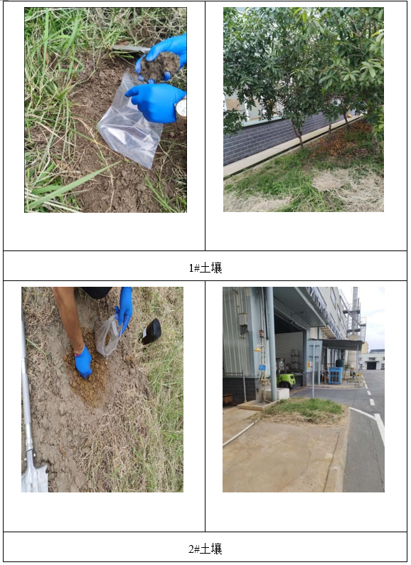 &#24320;&#20113;&#23448;&#26041;&#31471;&#32593;&#31449;&#30331;&#24405;&#20837;&#21475;&#45;&#24320;&#20113;&#40;&#20013;&#22269;&#41;